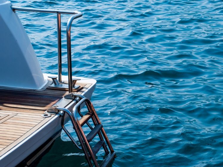 best pontoon boat ladders